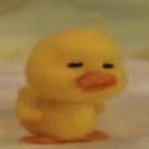 Meet your Posher, Hayley